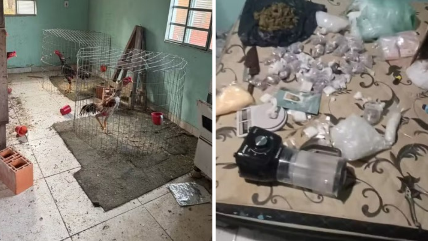 Polícia apreende drogas e resgata animais usados em rinha de galo em Itupeva