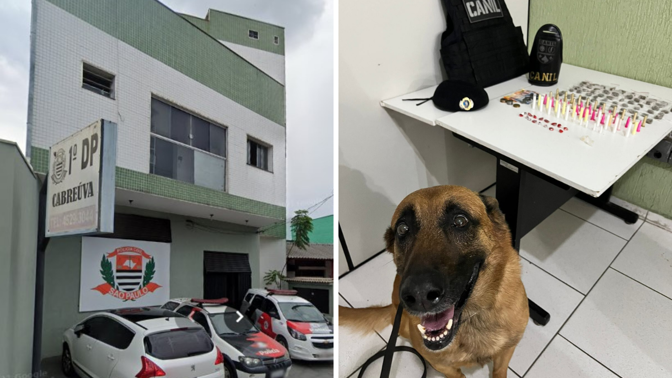 GCM apreende entorpecentes que estavam em posse de um adolescente no Vilarejo, em Cabreúva
