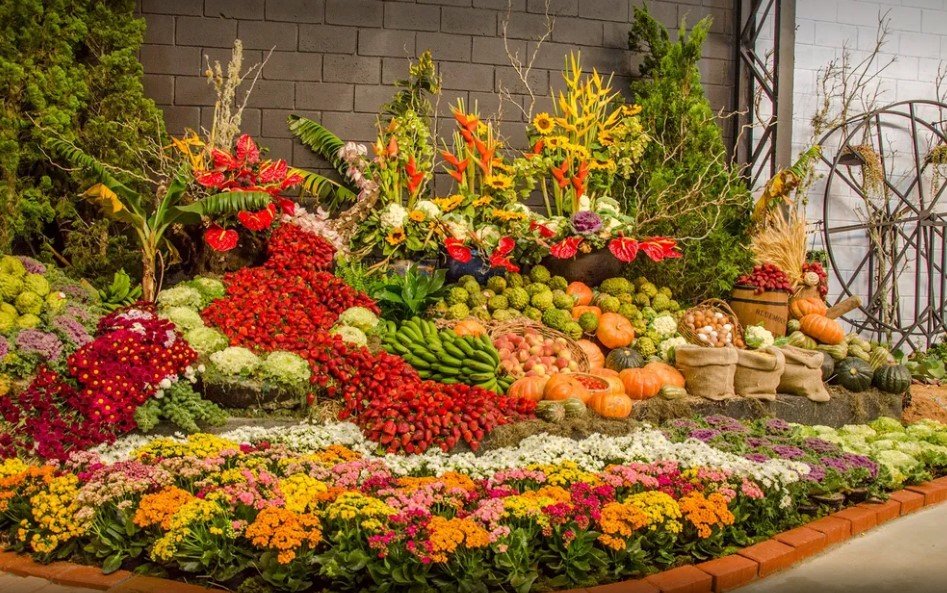 43ª festa de flores e morangos terá entrada solidária na próxima sexta-feira (19)