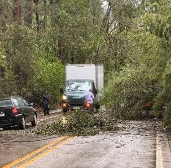 Ventania causa falta de energia em vários bairros de Cabreúva