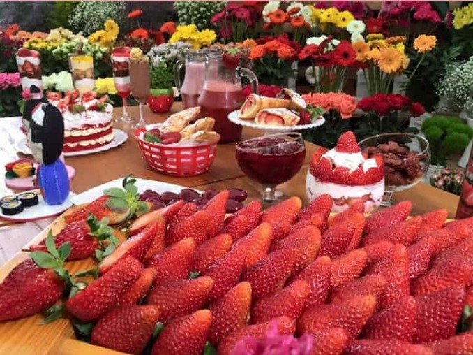 Festa de Flores e Morangos de Atibaia tem segundo fim de semana com atrações culturais e gastronômicas