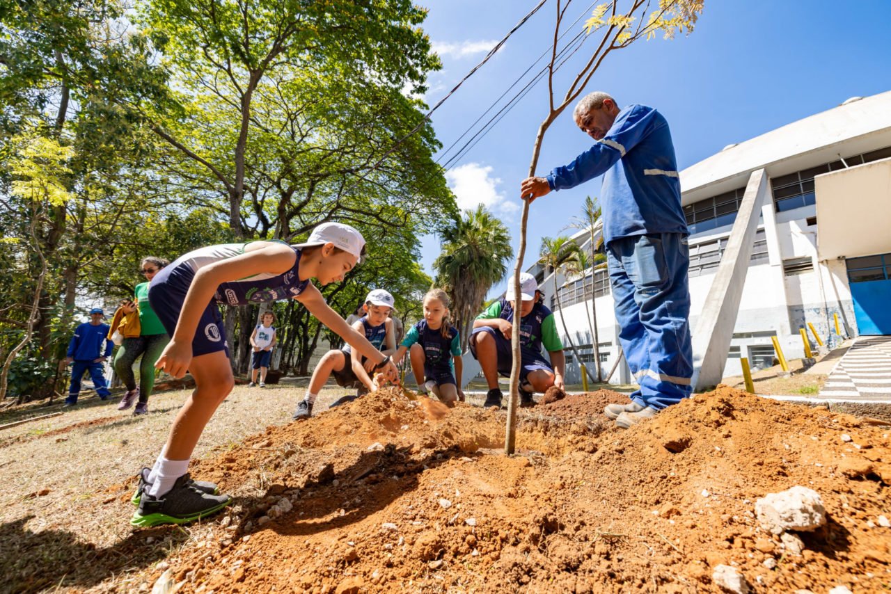 Semana da Árvore: Prefeitura de Jundiaí promove plantio de mudas no Bolão