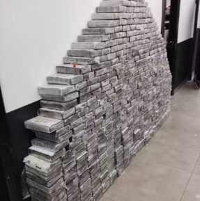 Polícia apreende mais de meia tonelada de cocaína em galpão no São João Novo, em São Roque